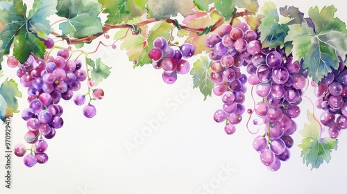 Wallpaper Mural A vibrant watercolor painting of ripe grapes, showcasing rich colors and detailed leaves, perfect for wine or agriculture themes. Torontodigital.ca