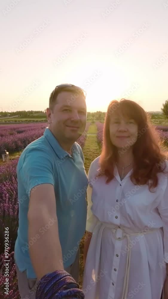 Couple Filming Their Summer Morning Escape in Lavender Fields. Vertical Video Couple Filming Their Summer Morning Escape in Lavender Fields. Vertical Video