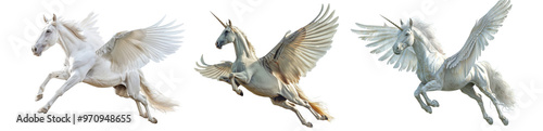 Pack of Pegasus flying Set isolated against a transparent background