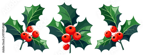 Christmas holly berry with leaves. Christmas plants. Christmas decorations. Vector illustration.