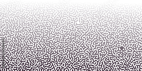 Abstract Reaction-diffusion or Turing pattern natural texture in black and white gradient colour scheme. Linear design with biological shapes. Organic lines in memphis. abstract turing wallpaper.	