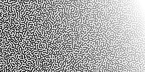 Abstract Reaction-diffusion or Turing pattern natural texture in black and white gradient colour scheme. Linear design with biological shapes. Organic lines in memphis. abstract turing wallpaper.	
