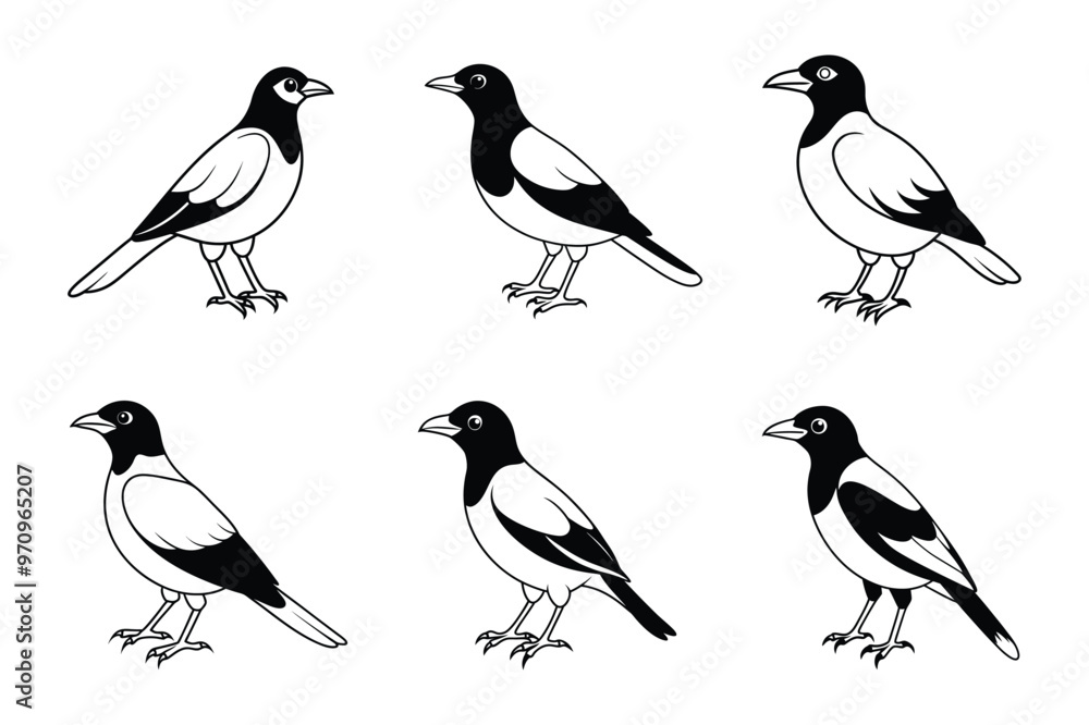 Black and white illustration, magpies, six birds, side view, simplified design, graphic style, bird silhouettes, nature art, wildlife sketch, minimalist drawing, ornithological study, Black and white illustration, magpies, six birds, side view, simplified design, graphic style, bird silhouettes, nature art, wildlife sketch, minimalist drawing, ornithological study,