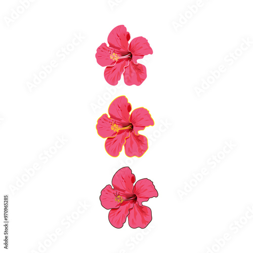 Hawaiian flower hibiscus china rose vector illustration