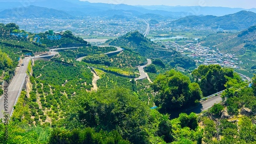 Foto みかんの丘 有田川町