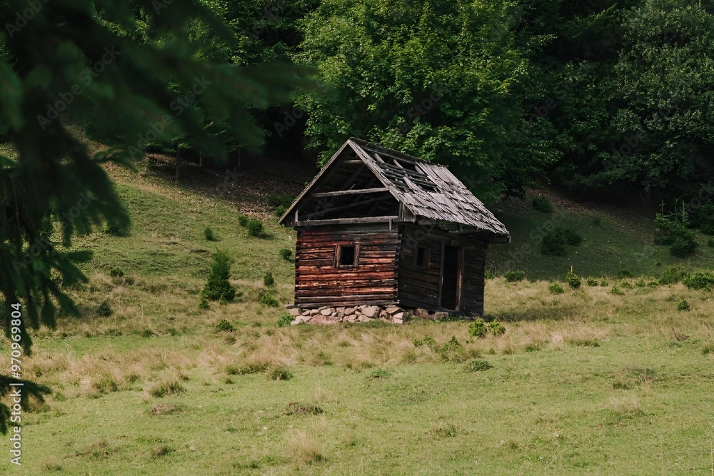 Rustic wooden cabin in a grassy meadow with lush green trees. Rustic wooden cabin in a grassy meadow with lush green trees.