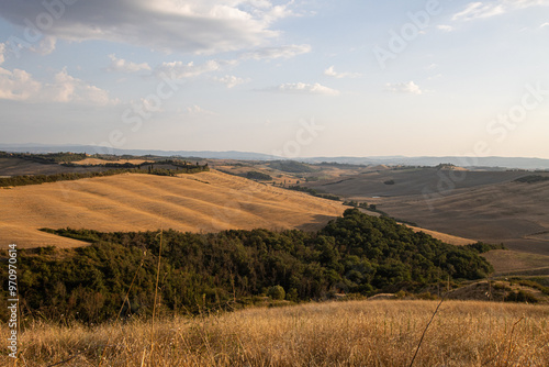 Wallpaper Mural Rolling hills in golden hues under soft sunlight. Minimal greenery in the foreground, Rolling hills with golden fields, mountain range in the background, sparse vegetation Torontodigital.ca