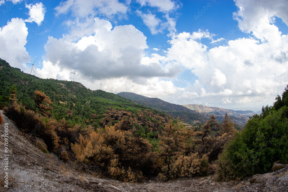 Forest Fire Damage. Burned Down Forest in Turkey, Izmir Yamanlar Forest Fire Damage. Burned Down Forest in Turkey, Izmir Yamanlar