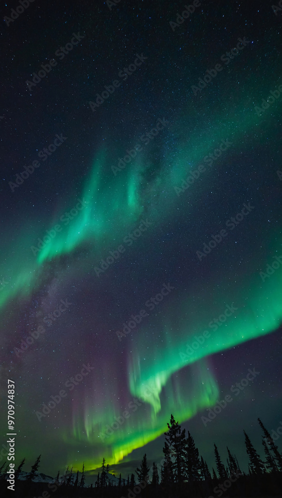 A cosmic, starry sky blending into vibrant northern light A cosmic, starry sky blending into vibrant northern light