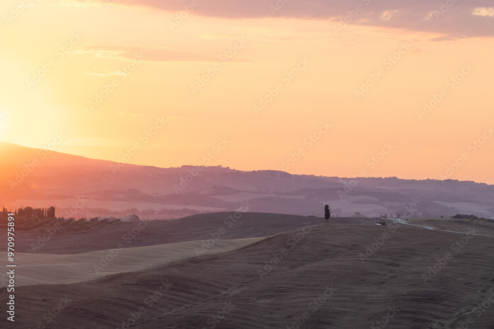 Orange and pink sunset over distant hills, with silhouettes of trees and a fading sky. The city of Siena as silhouette background. Sunset in Tuscany, romantic Orange and pink sunset over distant hills, with silhouettes of trees and a fading sky. The city of Siena as silhouette background. Sunset in Tuscany, romantic