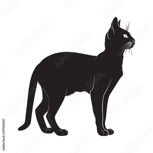 Russian Blue cat silhouette Clipart - Cat Vector illustration in black and white 