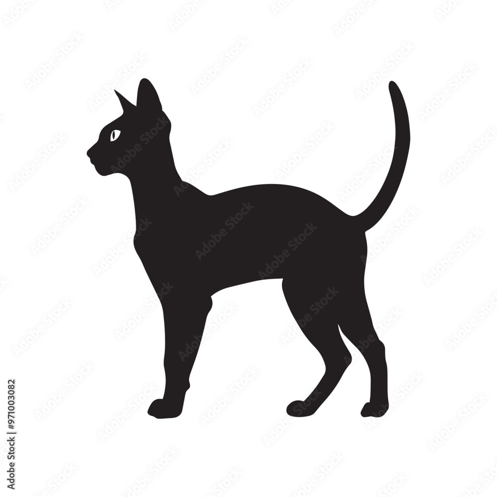 Singapura cat silhouette Clipart - Cat Vector illustration in black and white
Singapura cat silhouette Clipart - Cat Vector illustration in black and white