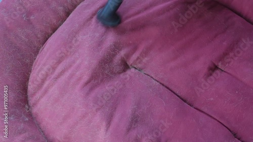 Vacuuming hair off a dog's bed. Vacuuming a pet's bed
