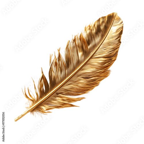 golden feather on a transparent background