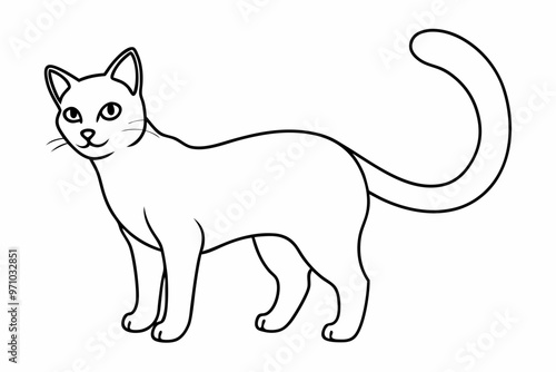 illustration of a cat