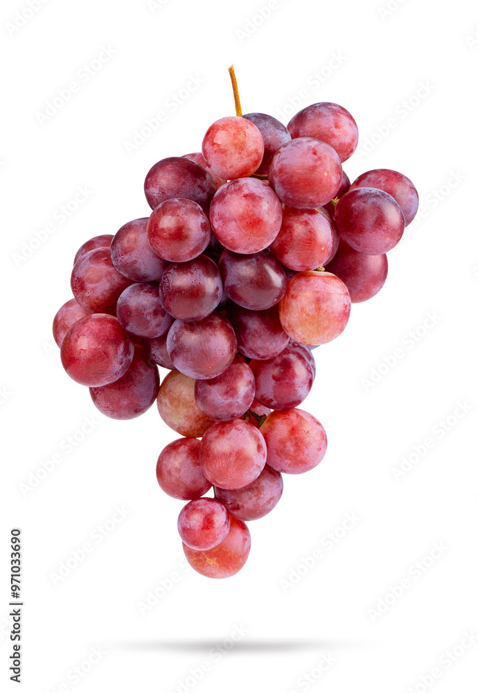 Bunch of large red grapes, isolated on a transparent background png. Bunch of large red grapes, isolated on a transparent background png.