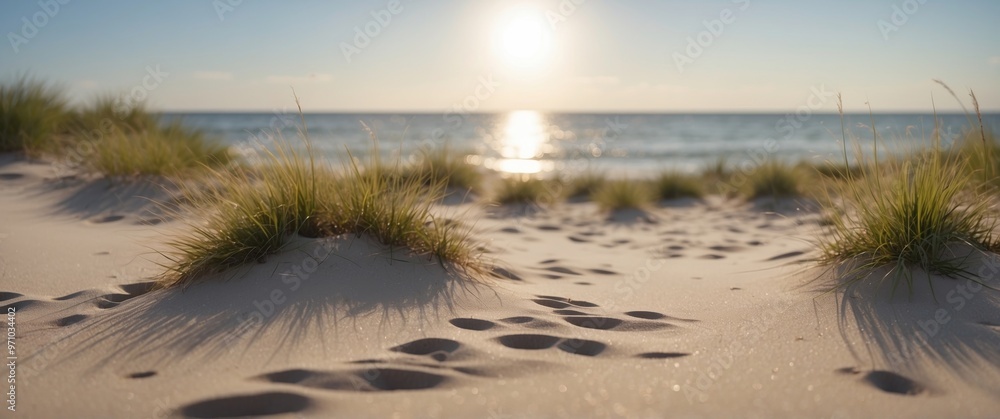 Tranquil Beach with White Sand and Grassy Dunes.