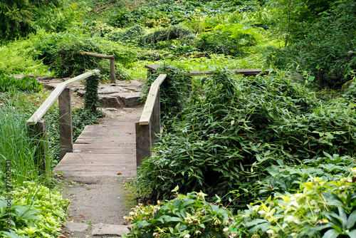 stone path with wooden bridge in forest among green trees on summer day. nature ecology . side view