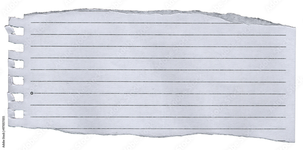 Fototapeta premium Ripped Torn Paper Edge Texture Transparent Background 