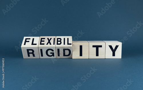 Finding the Balance: Flexibility vs. Rigidity