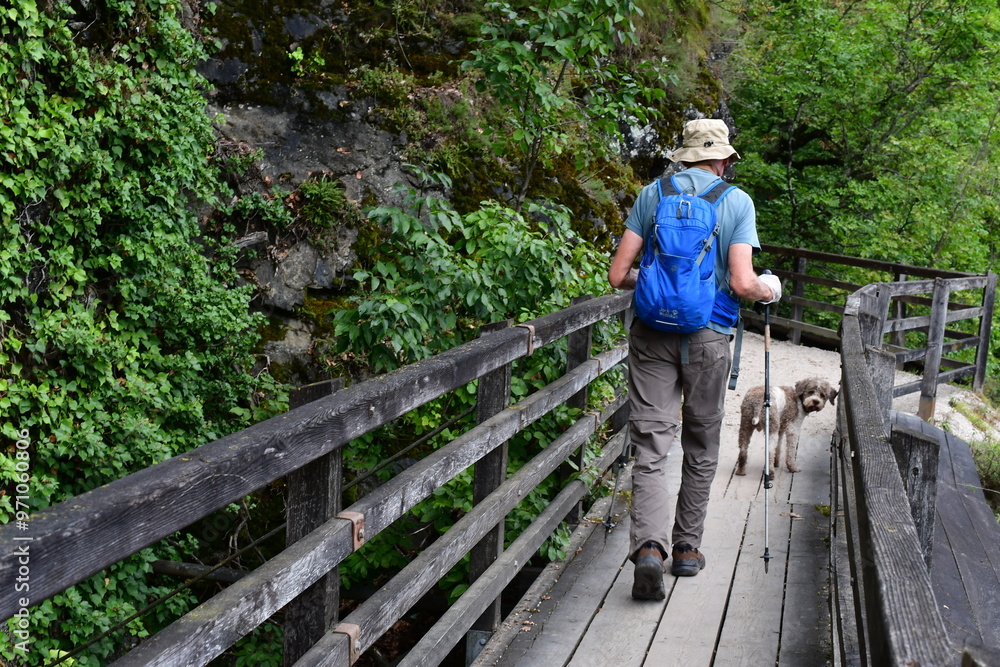 Mann und sein Lagotto Romagnolo Hund wandern in Südtirol