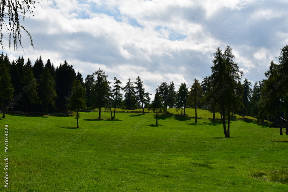 Schöne Landschaft auf dem Salten in Südtirol