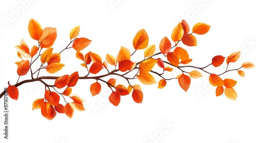 Autumn Leaves Vector Illustration on White photo