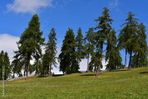 Obraz na płótnie Schöne Landschaft auf dem Salten in Südtirol w salonie