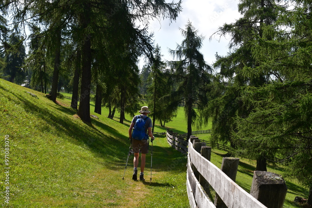 Mann wandert auf dem Salten in Südtirol