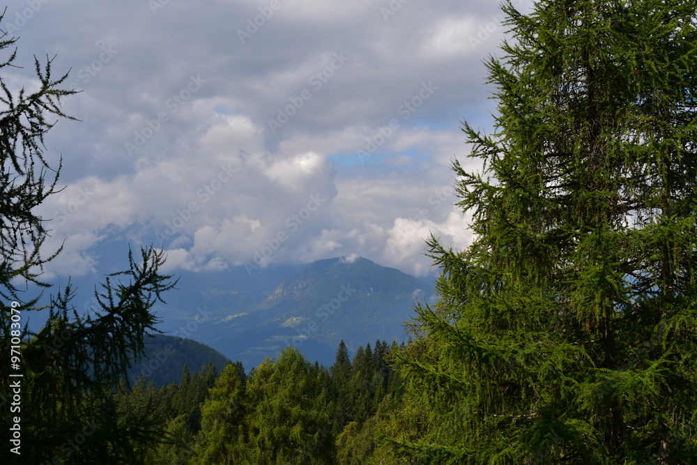 Schöne Landschaft auf dem Salten in Südtirol
