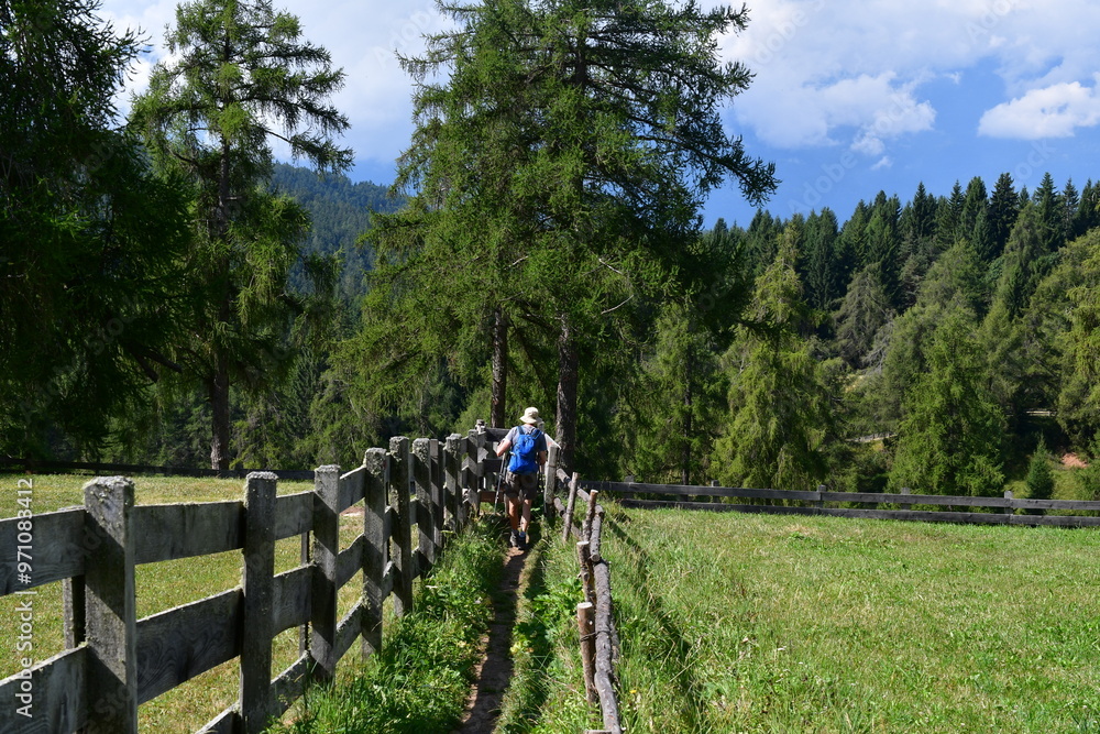 Mann wandert am Salten in Südtirol