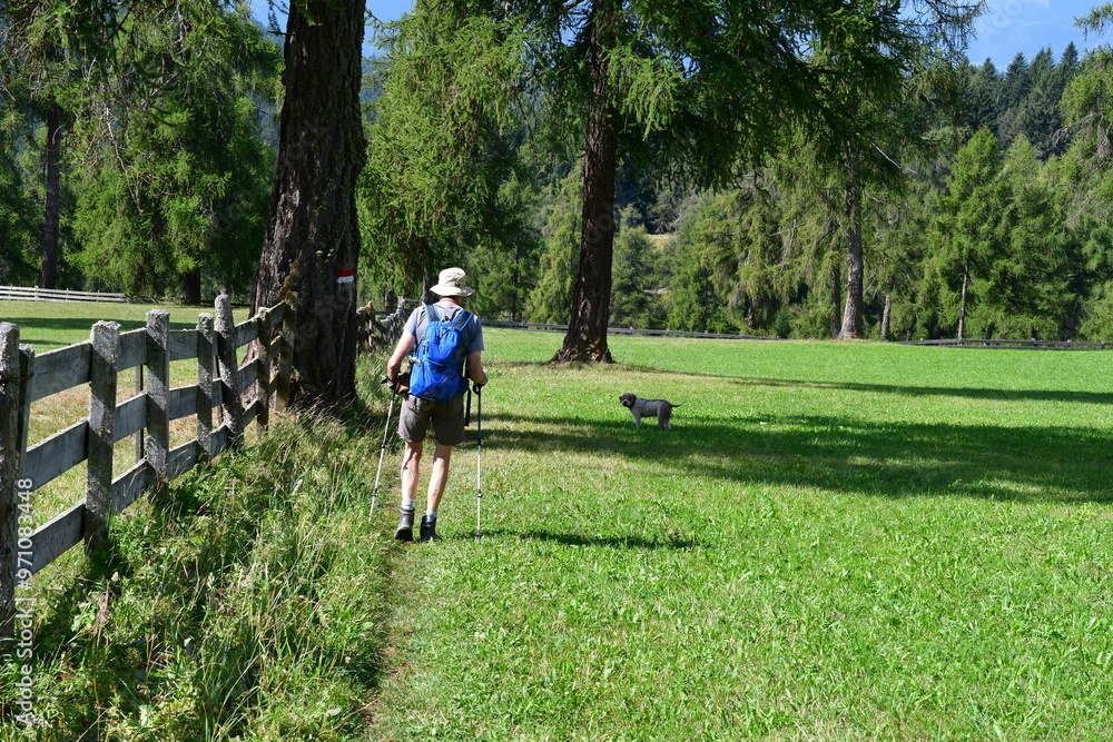 Mann und sein Lagotto Romagnolo Hund wandern auf dem Salten in Südtirol