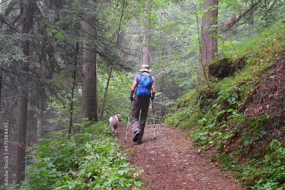 Mann und sein Lagotto Romagnolo Hund wandern in Südtirol