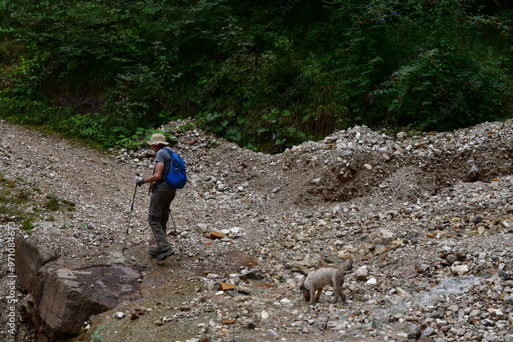 Mann und sein Lagotto Romagnolo Hund wandern in Südtirol