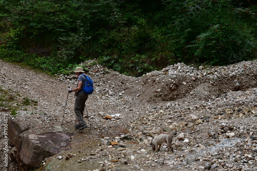 Obraz na płótnie Mann und sein Lagotto Romagnolo Hund wandern in Südtirol w salonie