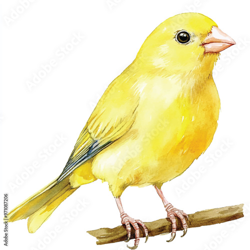 cute Canary watercolor clipart illustration isolated