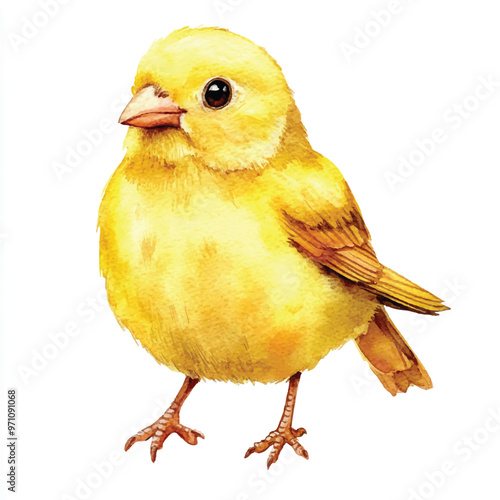 cute Canary watercolor clipart illustration isolated