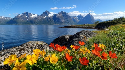 Wildflowers blooming along a fjord s shoreline, with a mix of colorful blossoms and snowy peaks in the distance photo