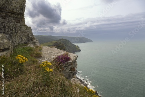 Steile Klippen mit bunten Blumen und üppigem Gras am Ufer eines ruhigen Meeres unter bewölktem Himmel, Cornwall, Vereinigte Königreich Großbritannien