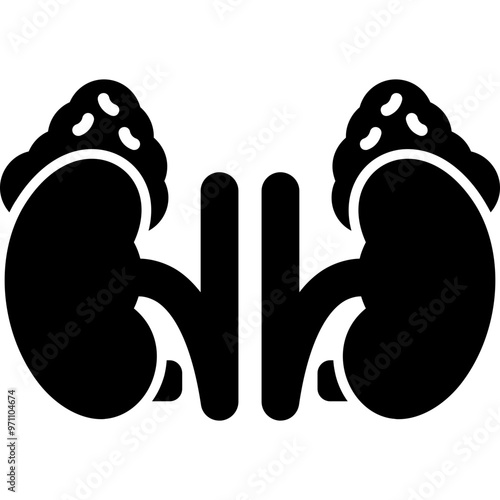 Adrenal Glands Icon