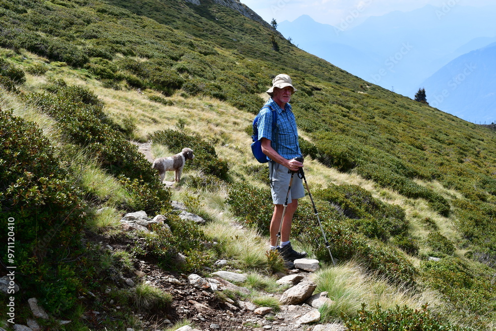 Mann und sein Lagotto Romagnolo Hund wandern auf dem Hirzer in Südtirol