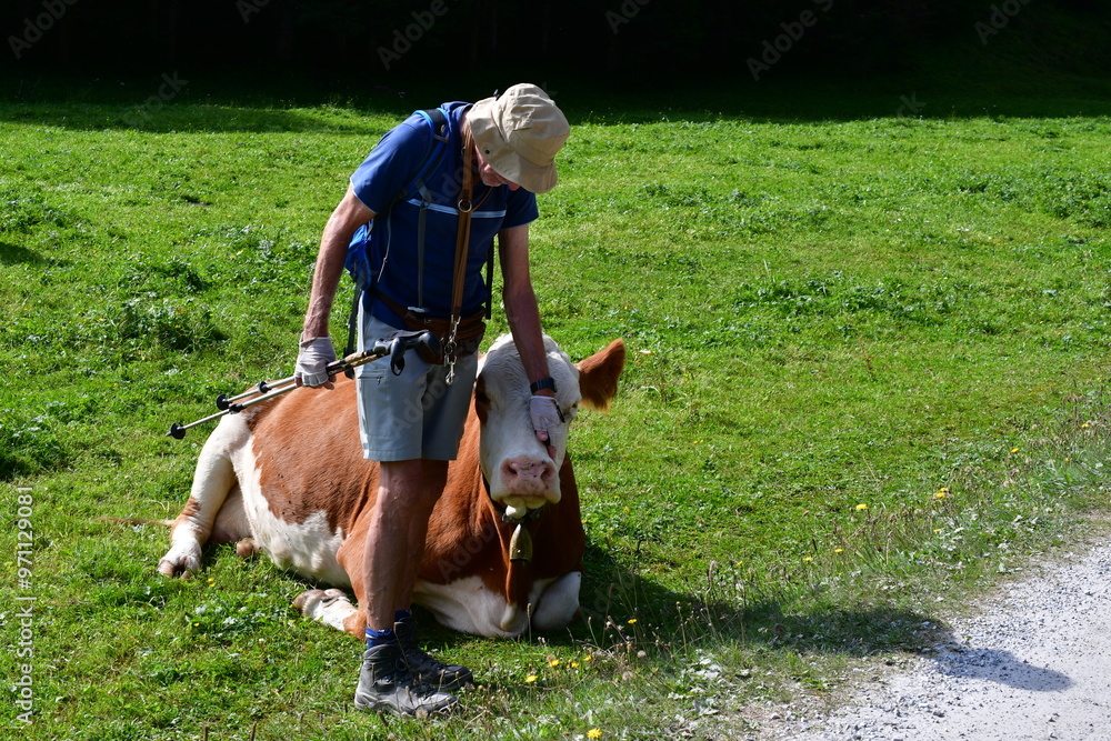 Mann streichelt eine Kuh im Stubaital
