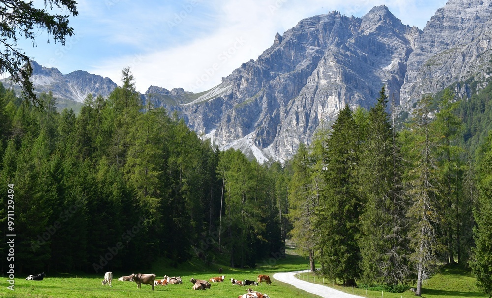 Schöne Landschaft mit Bergen und Kühen auf der Weide im Stubaital in Österreich
