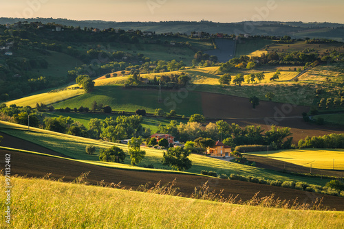 Spring view of landscapes of region Marche near Ancona during sunset. Green waves hills and lone trees make this landscape unreal.