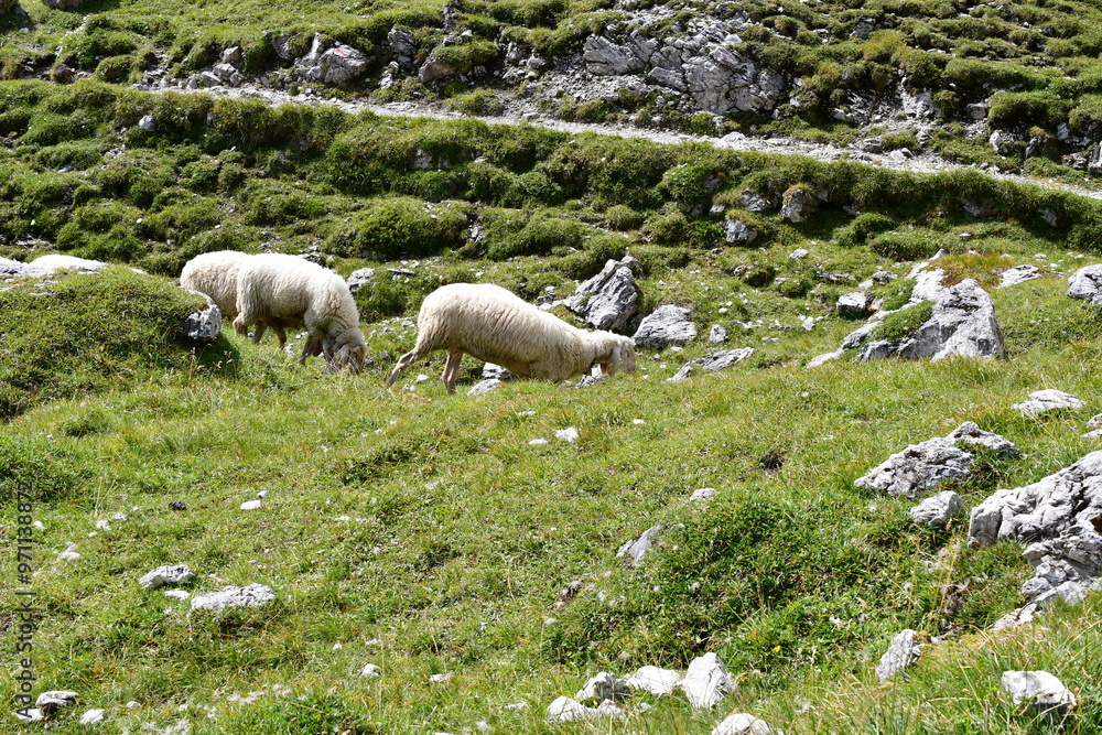 Schade im Stubaital in Tirol