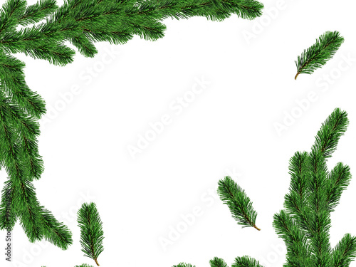 Wallpaper Mural fir leaves transparent png for christmas or happy new year poster, banner, blur fir leaves or pine leaves png for advertisement, social media creative. Torontodigital.ca