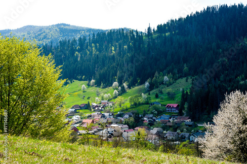 Voronet village view from the hill