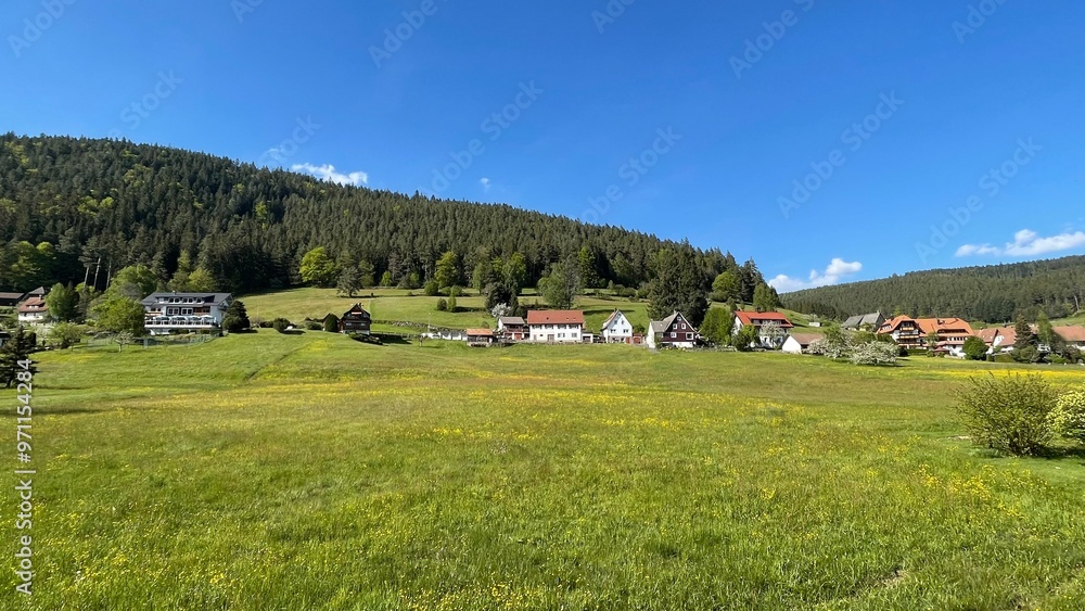 Wald und Wiese und Dorf Wald und Wiese und Dorf