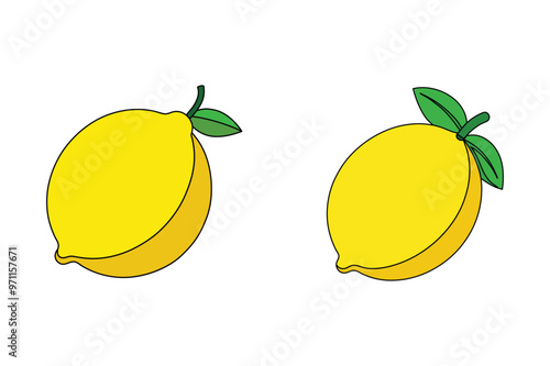 lemon  vector illustration white background