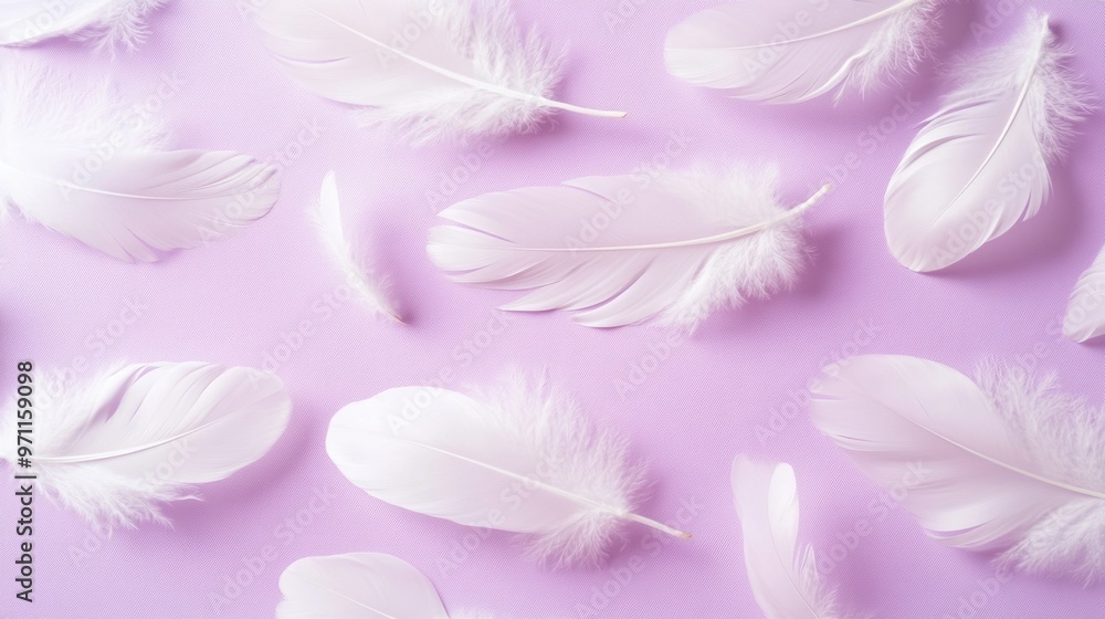 Obraz premium White feathers on a pastel purple background. Concept of lightness, softness and purity.
